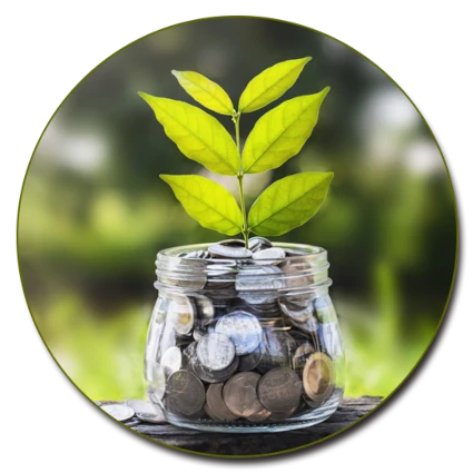 Savings jar with growing leaves